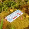 VGN V98 Pro Gaming klawiatura, Box Autumn - Maple Sugar Limited Edition (US)