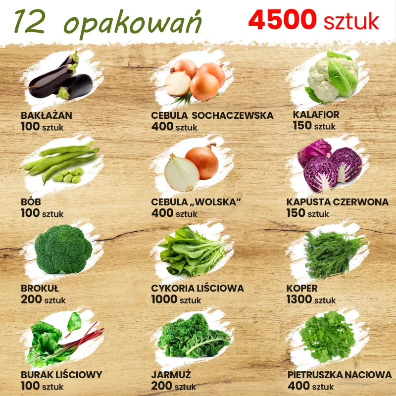 Zestaw nasion warzyw Toraf Harmony - 12 opakowań