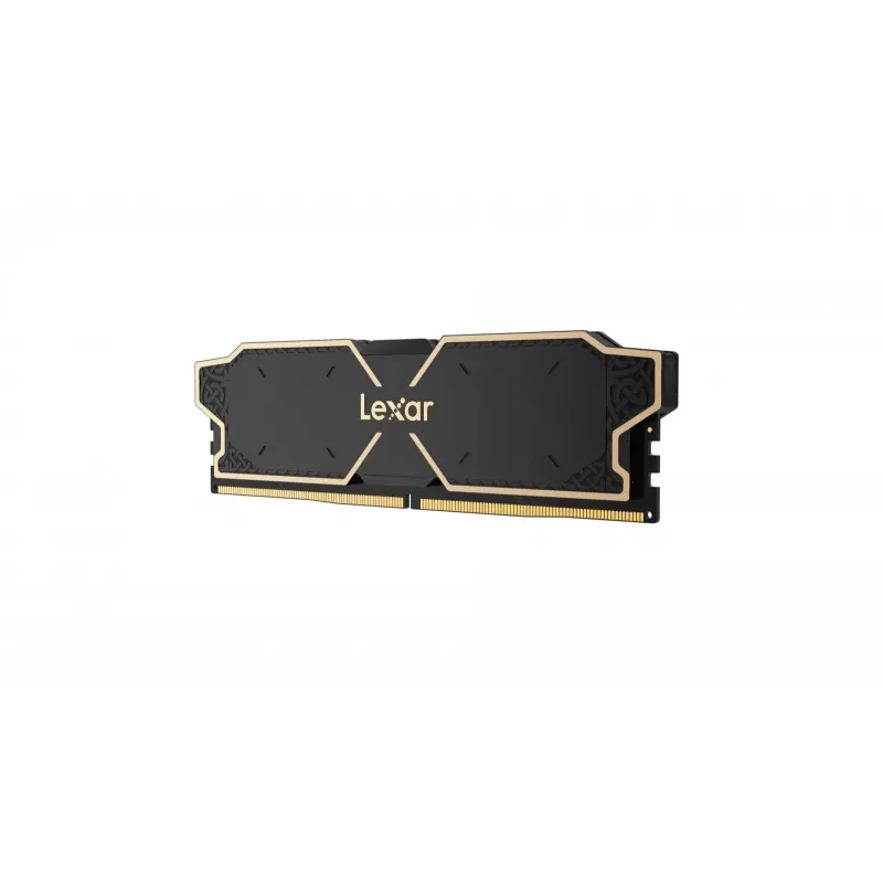 Lexar LD5U08G60C38LG-RGD Memory Module