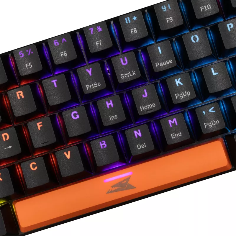 Klawiatura mechaniczna Baracuda Dolphin Czarny układ US z niebieskimi przełącznikami