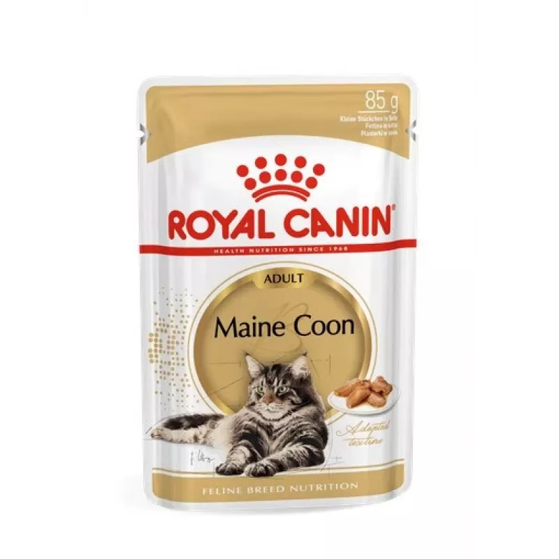 ROYAL CANIN FBN Maine Coon - mokra karma dla kota - saszetka 12x 85g