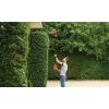 BD HEDGE TRIMMER 550W/51cm HIGH