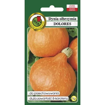 Nasiona — Apte Dynia Olbrzymia Dolores (dynia olbrzymia) nasiona, opakowanie 5 g