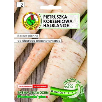 Apte Pietruszka Półdługa taśma 6m — odmiana pietruszki, późna, wysoko plonująca