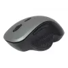 Mysz optyczna Gembird MUSW-6B-02-BG USB