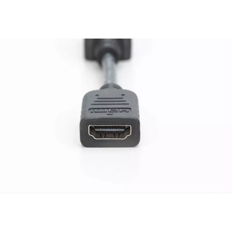 Adapter / konwerter Digitus DisplayPort
