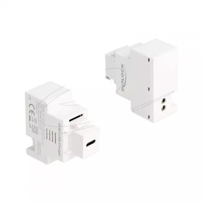 Moduł Keystone DELOCK z gniazdem ładowania USB‑C PD 20 W, biały