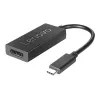Lenovo 4X90Q93303 adapter kabla wideo 0,2 m USB Type-C DisplayPort Czarny