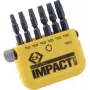 C.K. Bit-Set 6-częściowy TORX Torsion Control Technologie (T4513)