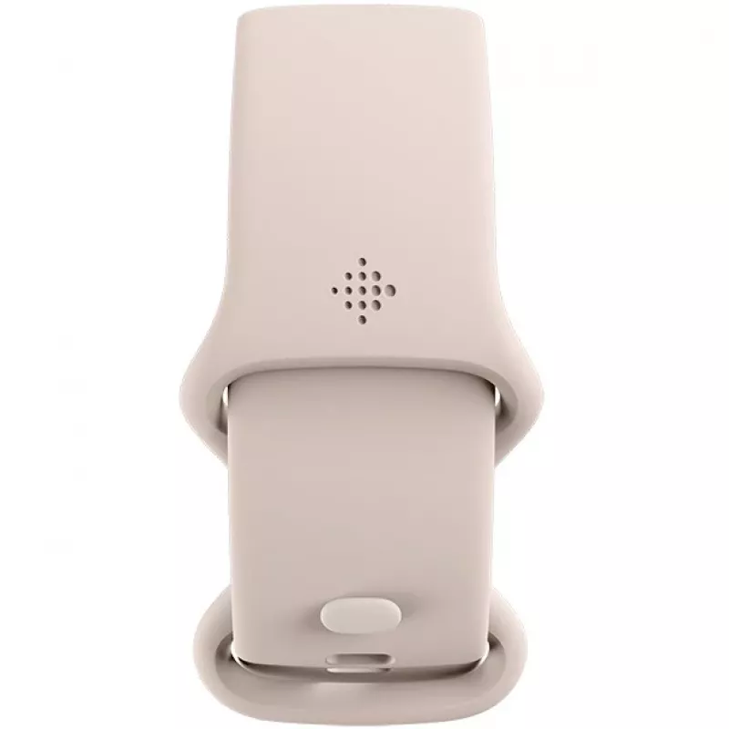 Fitbit GA05185-EU Produkt Srebrny