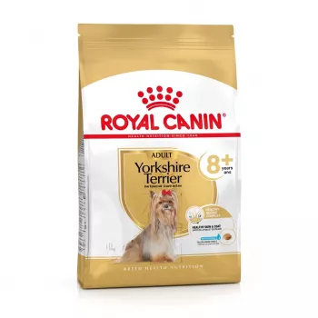 Sucha karma dla psa Royal Canin Yorkshire Terrier 8+ 3 kg — drób, dla starszych psów rasy yorkshire terrier, białko 29%, tłuszcz 18%