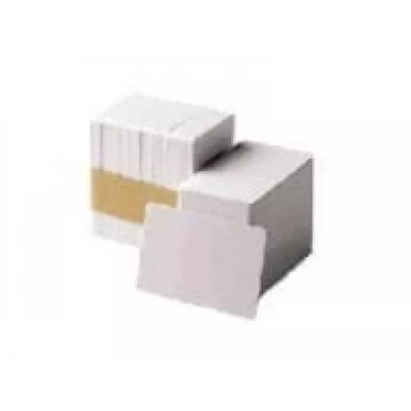 Zebra Premier PVC Card, 30 mil Low Coercivity Mag. Stripe (5 opakowań x 100)