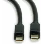 Roline DisplayPort Connection kabel 1.00 m 11.04.5817 Shielded Czarny [1x Mini-DisplayPort Plug - 1x Mini-DisplayPort Plug] (11.04.5817)
