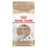 Sucha karma dla kota Royal Canin Sphynx Adult 2 kg — smak wieprzowiny, 33% białka, 23% tłuszczu