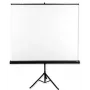 Ekran projekcyjny Avtek Tripod Standart 175 1:1