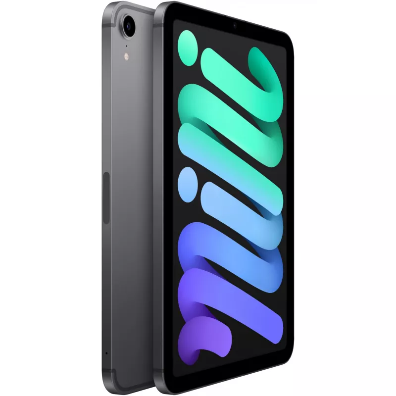 Apple iPad mini Wi-Fi + Cellular - 6. generation - Tablet - 64 GB - 21.1 cm (8.3)