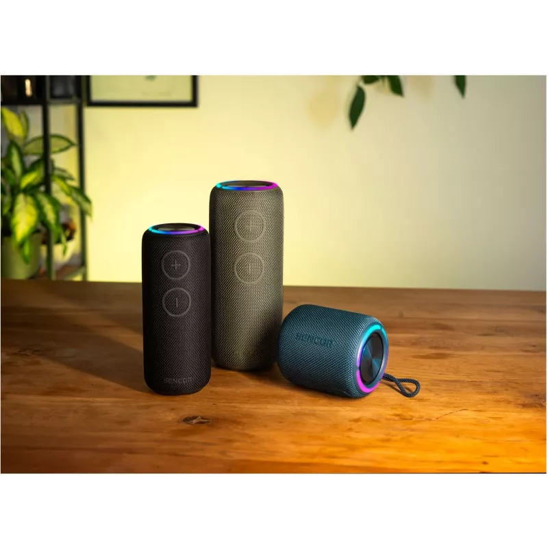 Głośnik Bluetooth SIRIUS 2 Czarny Moc 20W