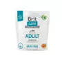 Sucha karma dla psa Brit BRIT Care bezzbożowa Adult Small & Medium Salmon 1 kg — białko 26%, tłuszcz 15%
