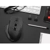 mysz Tracer Cozy Right-hand RF Wireless Optical 1600 DPI