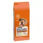 Sucha karma dla psa Purina Nestlé Dog Chow Mature Senior z jagnięciną, 14 kg, 24% białka, 10% tłuszczu