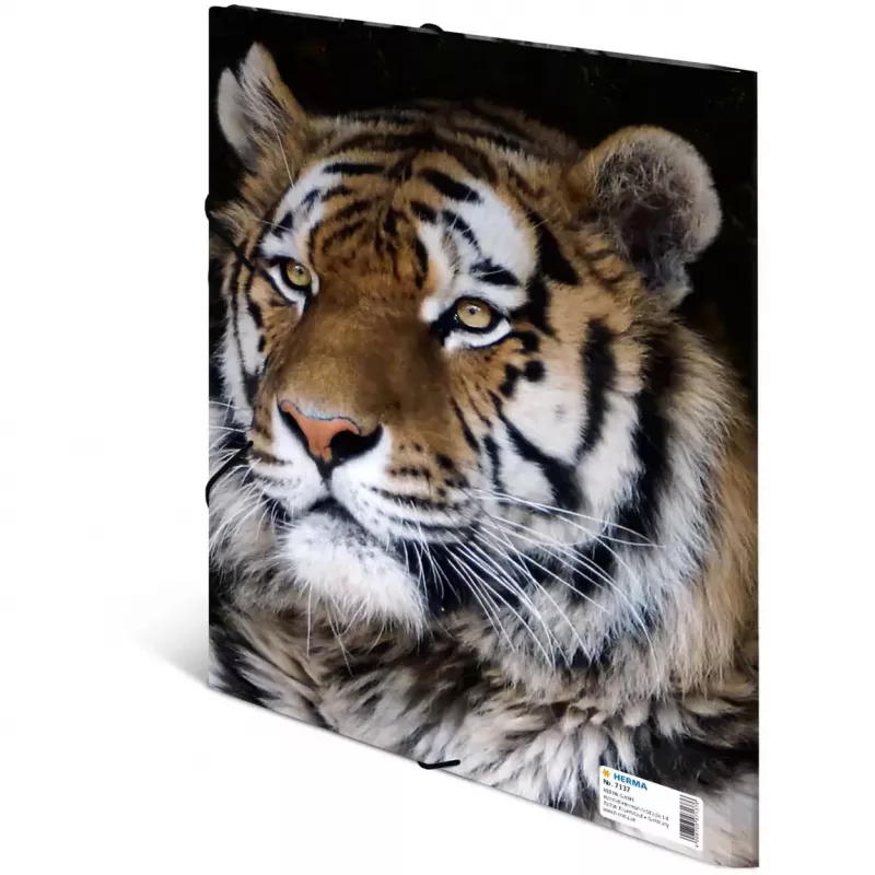 Folder Polypropylene (PP) HERMA 7137 Multicolour A4