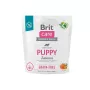 Sucha karma dla psa Brit Puppy Salmon 1 kg — bezzbożowa formuła dla szczeniąt, 30% białka, 18% tłuszczu