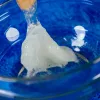 Zestaw naukowy Liscianigiochi Crazy Science Slime w ciemności 304-PL89239 — zestaw do eksperymentów ze świecącym w ciemności slime'em