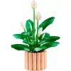LEGO BOTANICALS 11504 Lilia Pokojowa