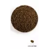 ORIJEN Guardian 8 - sucha karma dla kota - 1,8 kg