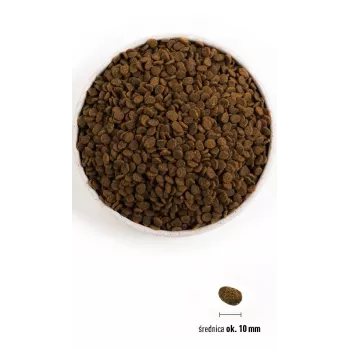 ORIJEN Guardian 8 - sucha karma dla kota - 1,8 kg