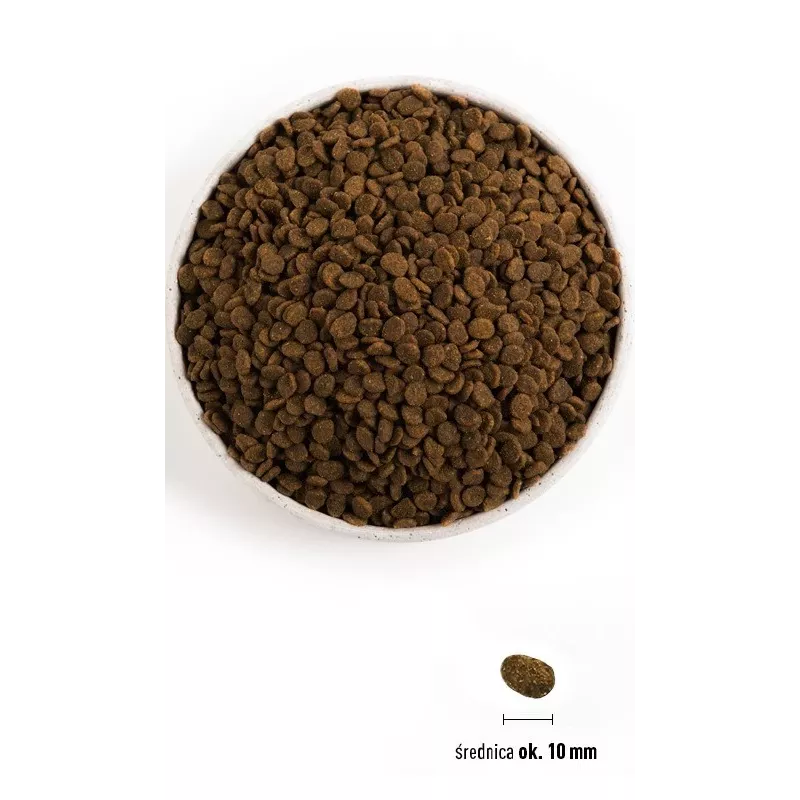 ORIJEN Guardian 8 - sucha karma dla kota - 1,8 kg