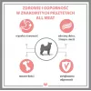 PUPIL Premium All Meat Gold Saddle of lamb - karma mokra dla psa - 800g