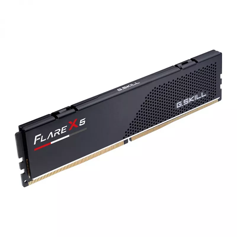 DDR5 8 GB G.SKILL Flare X5 F5-5600J3636C8GH1-FX5 5600 MT/s 288-pin DIMM CL36