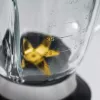 Caso | Blender | MX 1000 | Stolowy | 1300 W | Materiał dzbanka Szkło | Pojemność dzbanka 1.5 L | Kruszenie lodu | Stal nierdzewna