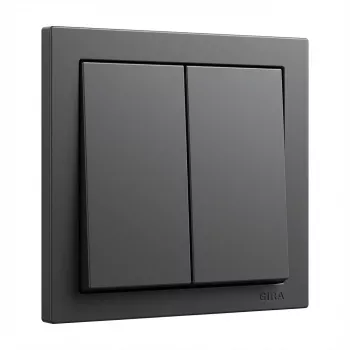 Pokrywa kołyskowa GIRA System 55 2-krotna Wippe Antracyt (model 329528)