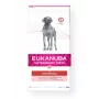 Eukanuba Veterinary Diet Intestinal 12 kg Adult