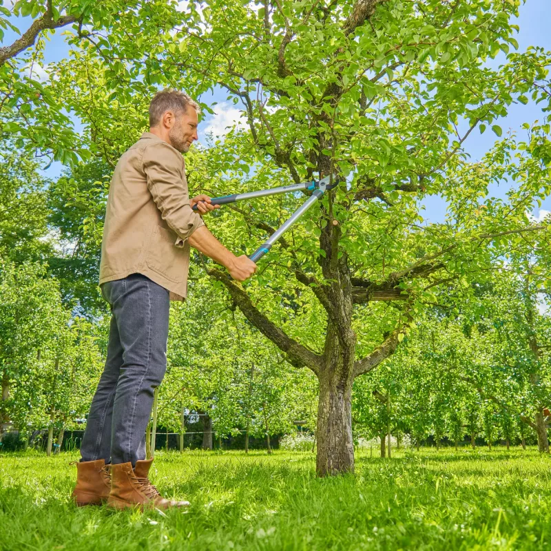 Gardena nożyce EasyCut L szare/turkusowe 50 cm (12031-88)