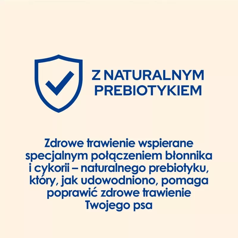 Purina DOG CHOW Large Breed Adult 14 kg z indykiem