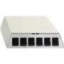 Patch panel Rutenbeck PP-UM A-6 Ap rw 6 portów czysta biel