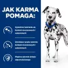 HILL'S PRESCRIPTION DIET Urinary Care Canine u/d Sucha karma dla psów 10 kg