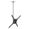 Barkan 3500 uchwyt sufitowy do telewizora, regulowany, 13-65", 40 kg, biały