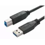 Kabel USB Bachmann 917.1205 USB 3.2 Gen 1 1 m USB A USB B Czarny