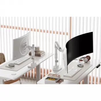 Uchwyt do monitora DIGITUS Single, zacisk, maks. 57 cali, udźwig 27 kg, VESA 75x75–100x100, biały