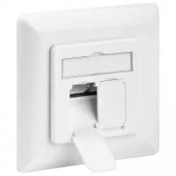 Wentronic 68721 Urządzenie sieciowe Biały
