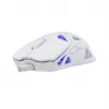 Mysz White Shark GM-5019 Dagonet Wireless