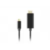 Adapter USB-C na DisplayPort Lanberg CA-CMDP-10CU-0018-BK Czarny 1,8 m