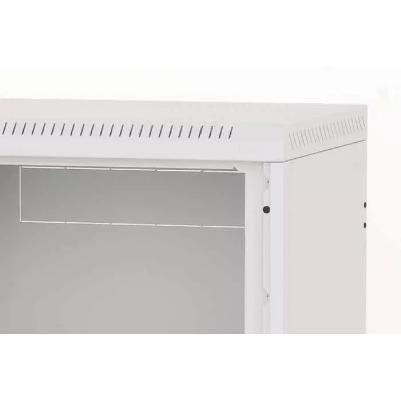 Szafa wisząca Triton RBA-09-AS5–CAX–A1 9U Biała
