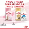 Sucha karma dla kota Royal Canin Kitten Sterilised 3,5 kg — drób, 34% białka, 12% tłuszczu