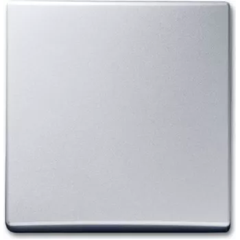BUSCH-JAEGER przycisk zmienny 2106-33 AW44 srebrny alu 2106-33 (2106-33)
