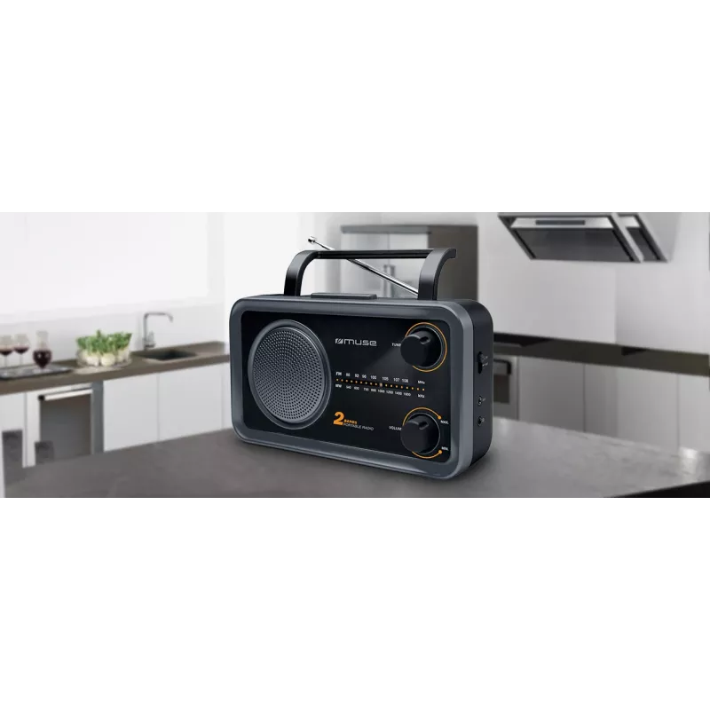 Muse | Przenośne radio 2-pasmowe | M-06DS | AUX in | Szary
